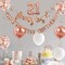 21st Birthday Banner Garland Foil Balloon 21 for 21 Birthday Decorations,Rose Gold (Banner 21)
